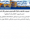 مروری بر چارچوب و محرکهای درونی و بیرونی رفتار خرید آنی